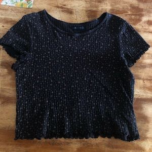 Lettuce leaf top American Eagle!